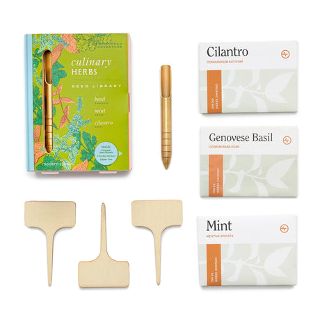 Set of herb seed packets and plant markers on a white background