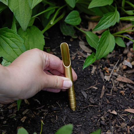Hand holding a gold dibbler tool over soil with green plants