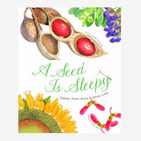 Book cover of 'A Seed Is Sleepy' with illustrations of seeds, flowers, and leaves on a white background.