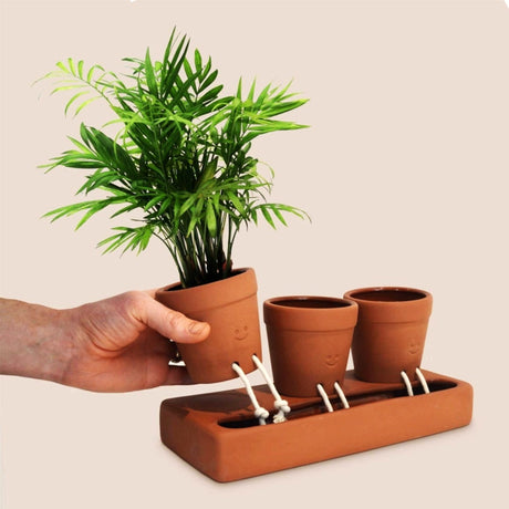 Hand holding a potted plant above a terracotta pot stand with two other pots.