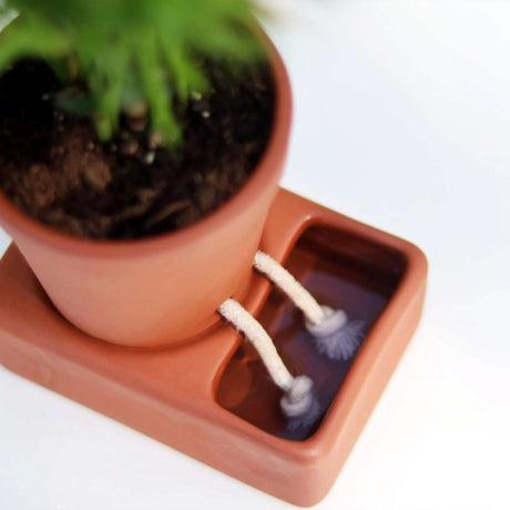 Terracotta pot with a plant on a rectangular base filled with water with the cotton rope "legs" of the planter dipping into the water and wicking moisture into the planter