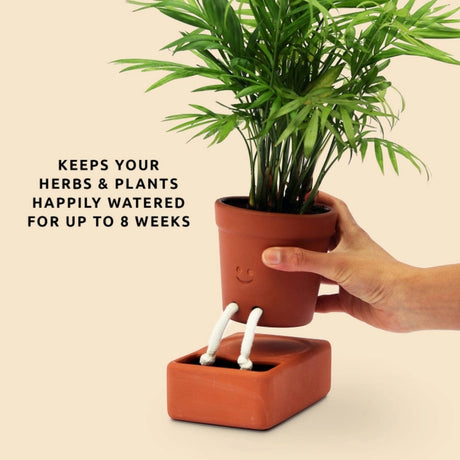 Hand holding a potted plant with a self-watering device on a beige background