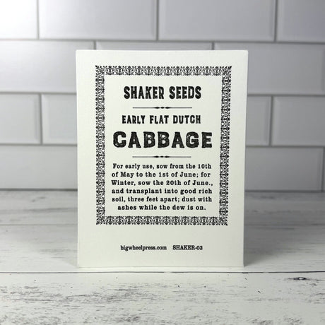 White notecard back with Shaker Seeds packet text and info for early flat Dutch cabbage on a white background