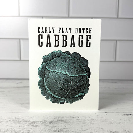 Letterpress notecard with vintage seed packet art of a cabbage with the text "Early Flat Dutch Cabbage" on a white surface