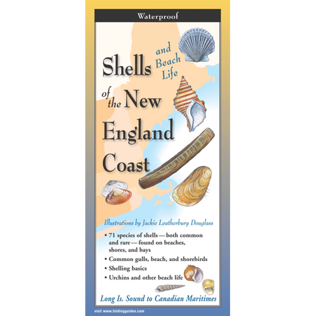 Cover image for Shells and Beach Life of the New England Coast, featuring illustrations of various types of shells against a map of the New England Coast