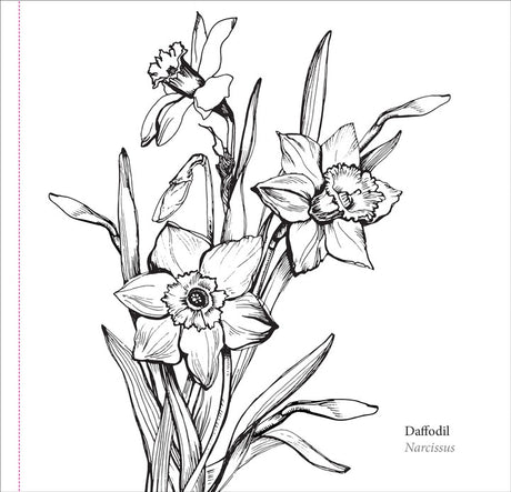 Spring Blooms Coloring Book