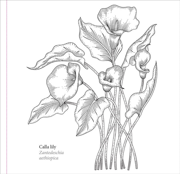 Spring Blooms Coloring Book