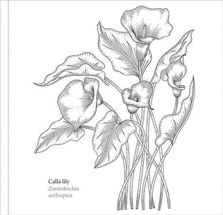 Spring Blooms Coloring Book