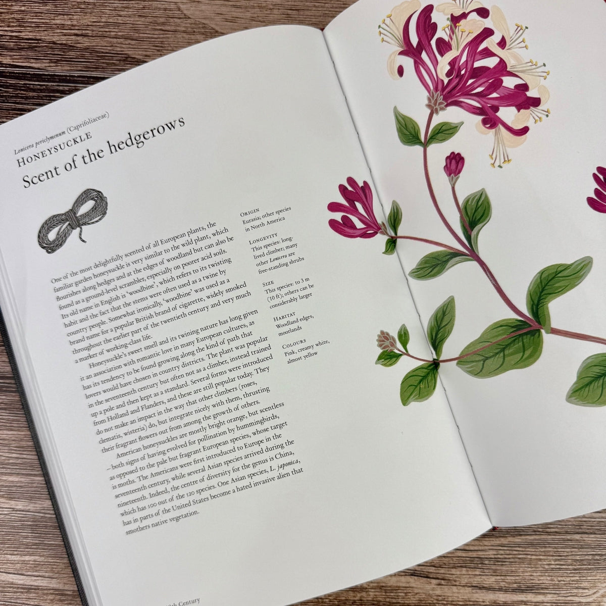 The Story of Flowers: And How They Changed the Way We Live – The