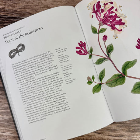 The Story of Flowers: And How They Changed the Way We Live