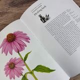 The Story of Flowers: And How They Changed the Way We Live