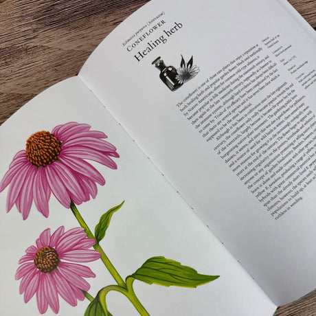 The Story of Flowers: And How They Changed the Way We Live