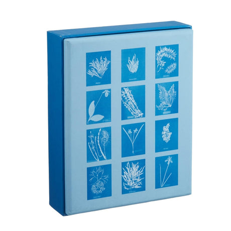 the back of the blue notecard box with all of the included botanical cyanotype notecards on a white background