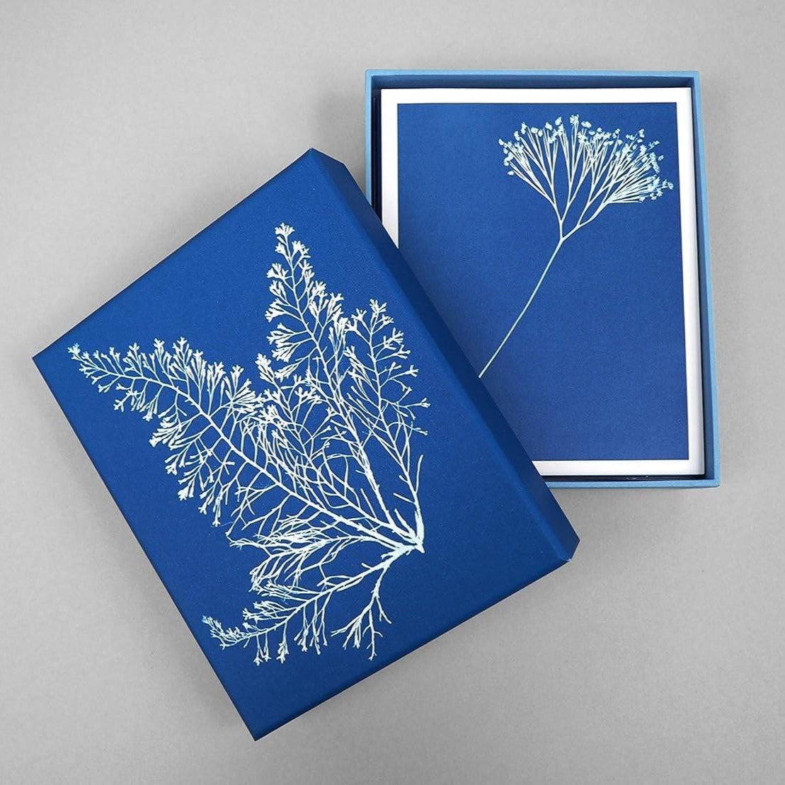 Blue box with white floral design on a gray background