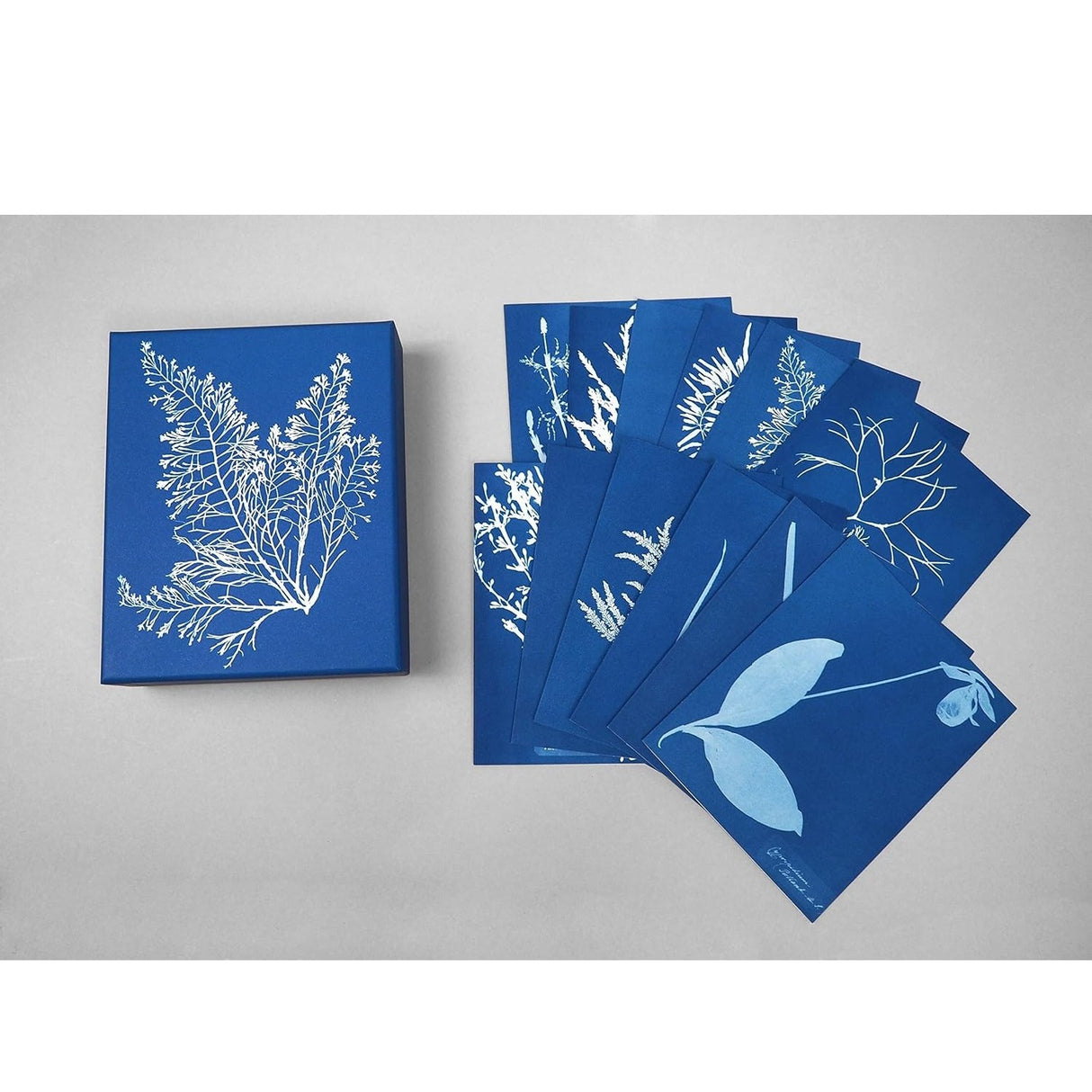 Set of blue cards with white floral designs on a gray background