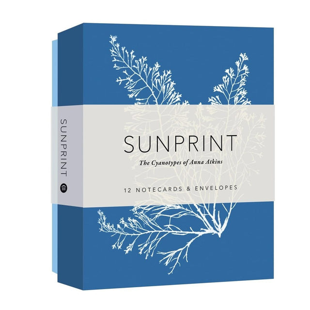 Sunprint notecard set packaging with blue and white design