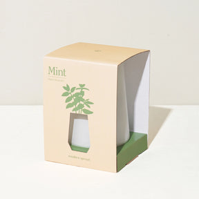 Mint plant in a white pot with a beige packaging box on a light background