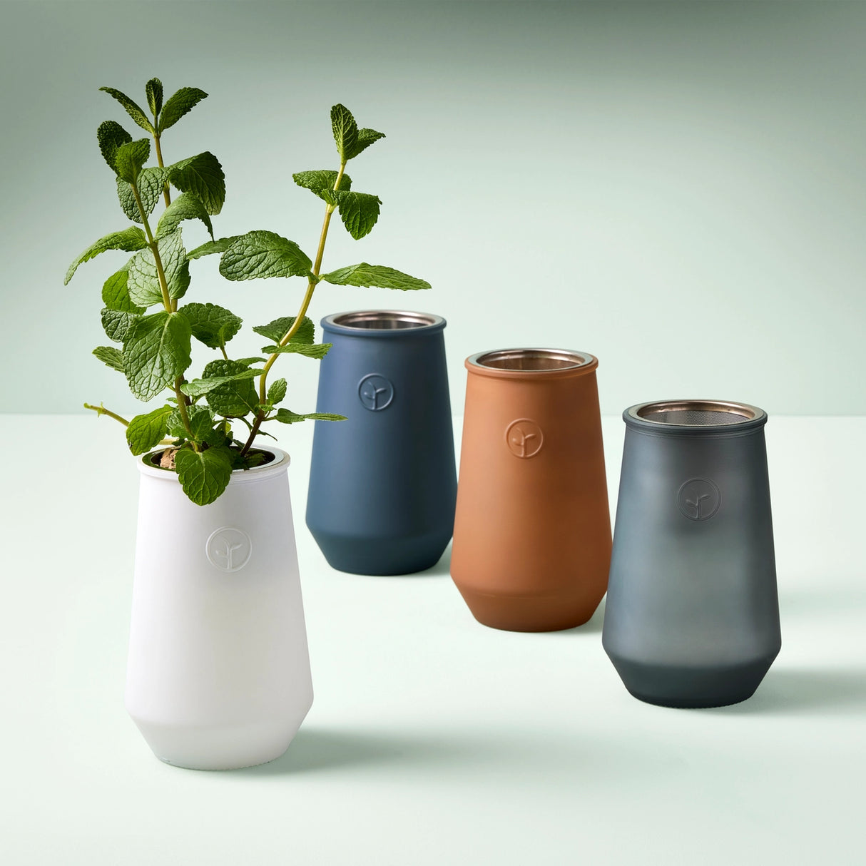 Tapered Tumbler Herb Grow Kit