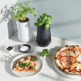 Tapered Tumbler Herb Grow Kit