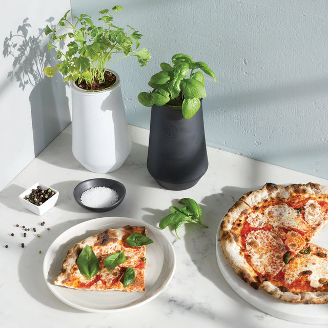 Two slices of pizza on plates with basil leaves, accompanied by small containers of salt and pepper, on a marble surface.