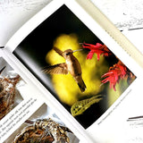 The Hummingbird's Gift