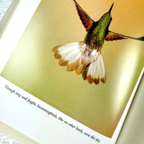 The Hummingbird's Gift