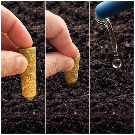 Three-step process of planting a fertilizer spike and watering it.