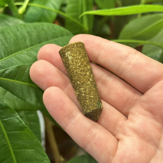 The Old Farmer's Almanac Tomato & Vegetable 6-4-6 Plant Food Spikes (12 Mini Spikes)