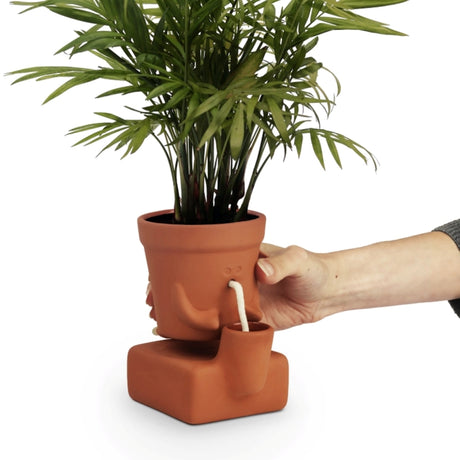 Terracotta planter with a face and white cotton rope straw that drinks from the ceramic cup part of the base with a plant inside, on a white background