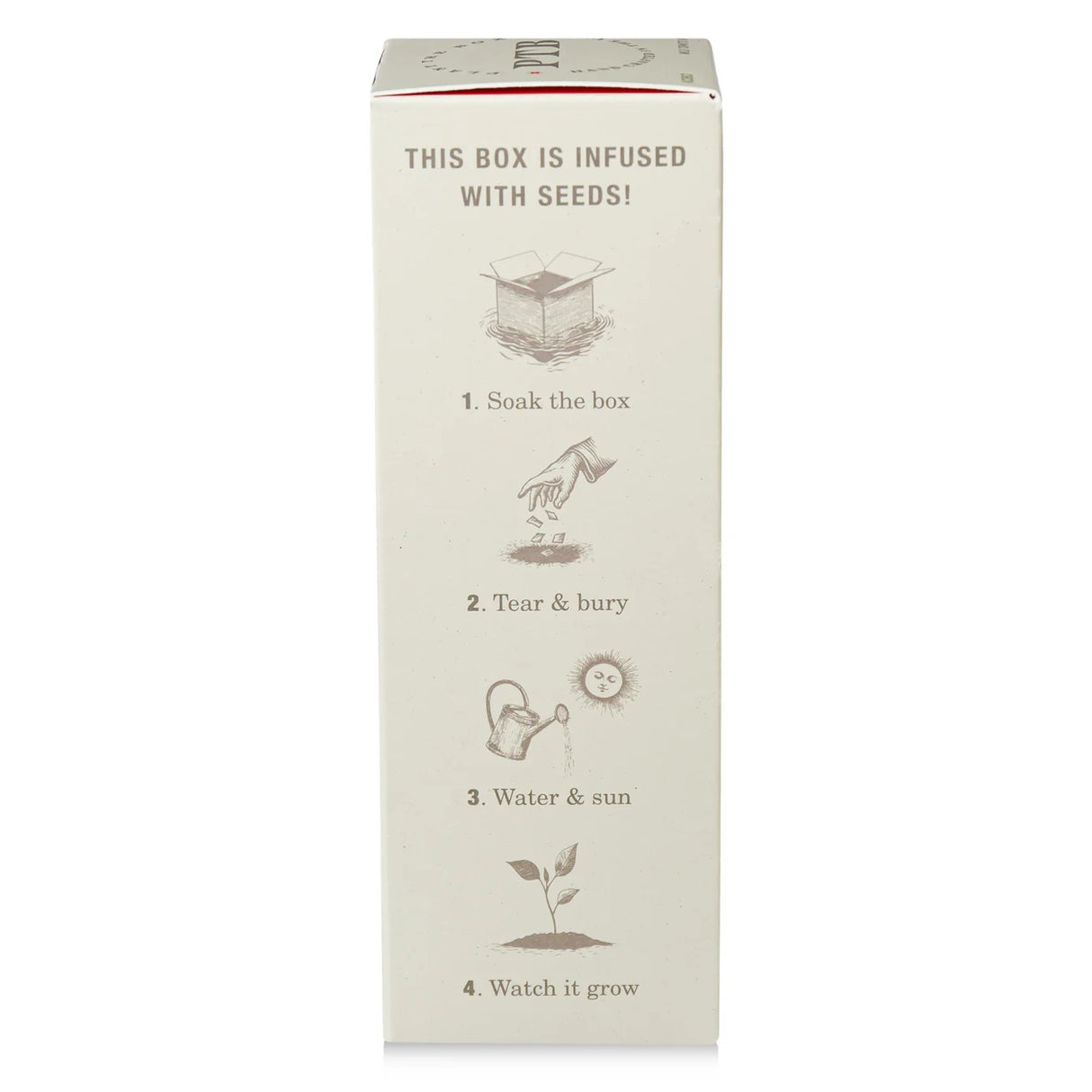 Wild Tomato Vine - Plant the Box Diffuser - 4oz