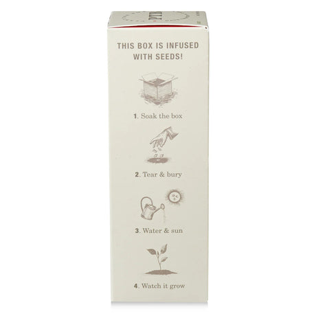 Box with instructions for planting seeds on a white background