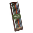 Set of pencils with tree designs in packaging on a white background