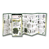 An open folding guide featuring detailed illustrations of trees commonly found in the Northeast and Upper Midwest. The guide includes tree names, descriptions, and images of leaves, bark, and other identifying features. The compact design makes it easy to use for outdoor exploration