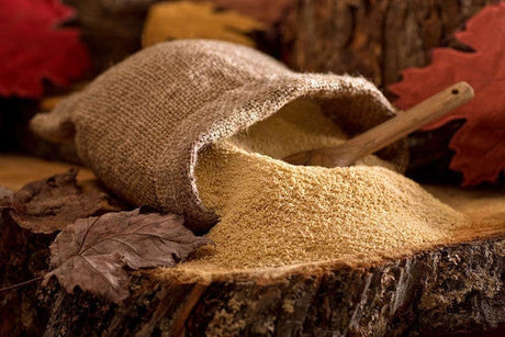 Organic Maple Sugar