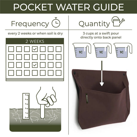 A graphic showing watering frequency - a calendar that marks every two weeks as suggested watering schedule and amount of water