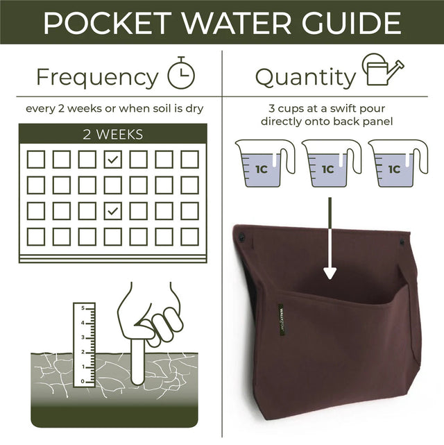 A graphic showing watering frequency - a calendar that marks every two weeks as suggested watering schedule and amount of water