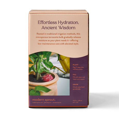 Terracotta Watering Bulb - 3 colors