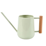 Indoor Watering Can