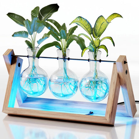 The air planter with the LED lights on giving a blue glow to the glass plant vials