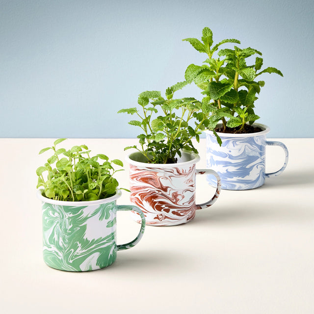 a trio of enamel mugs with a colorful marbled design with herbs growing out of each of them
