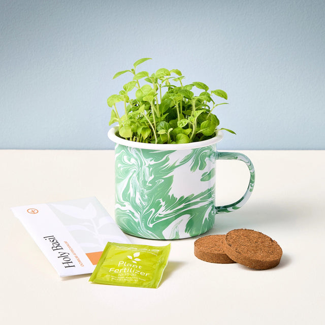 The Nearly Nirvana Holy Basil altered herbs mug - basil is growing in the mug and the growing medium, seeds, and instructions are next to it