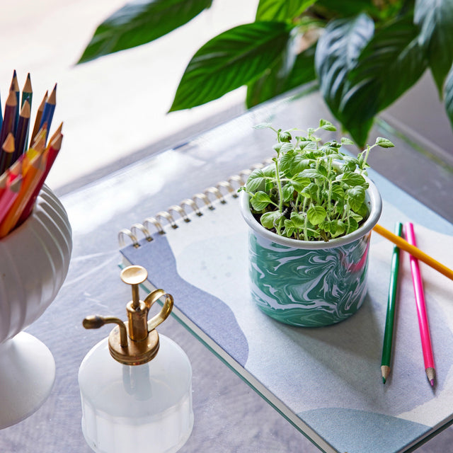 the holy basil mug with basil growing in it on a table top near a sketchbook, colored pencils, a houseplant, and a plant mister.