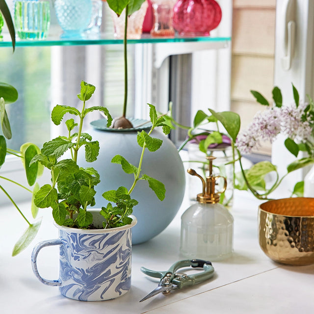 the blue and white marbled enamel mug with mint growing out of it on a table top with other plants and planting tools like herb snippers