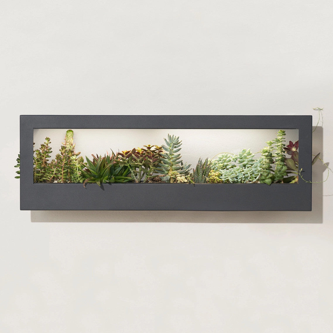 Modern Sprout Smart Landscape Growframe Planter
