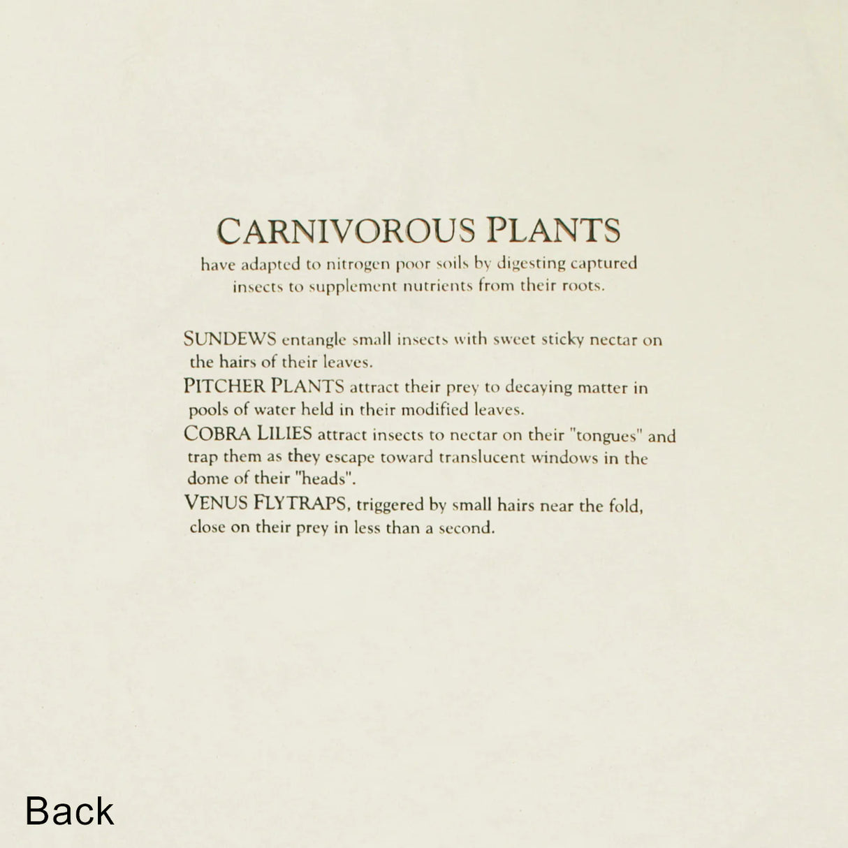 Back of tee design - Text description of carnivorous plants on a beige background