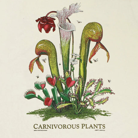 Illustration of carnivorous plants on a beige background