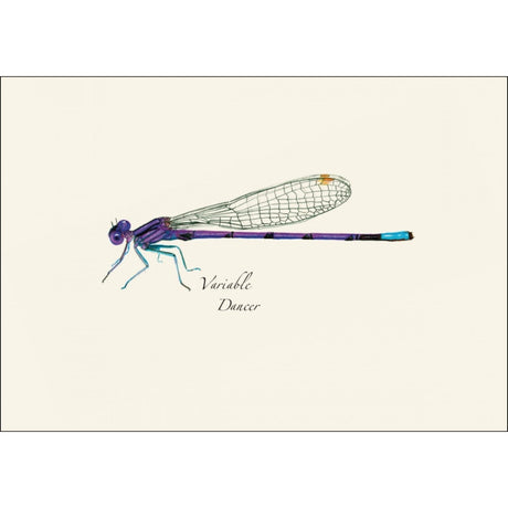 a close up of the art on one of the notecards featuring an illustration of a variable dancer