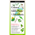 The cover image of edible plants of the northeast folding guide featuring a selection of illustrations of edible plants against a map of the Mid-Atlantic US states
