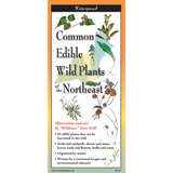 The cover image of edible plants of the northeast folding guide featuring a selection of illustrations of edible plants against a map of the Northeastern US states