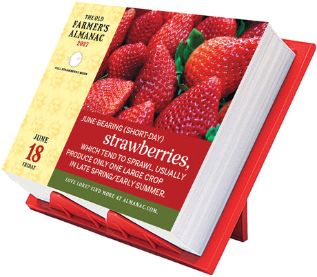 2027 Everyday Desk Calendar